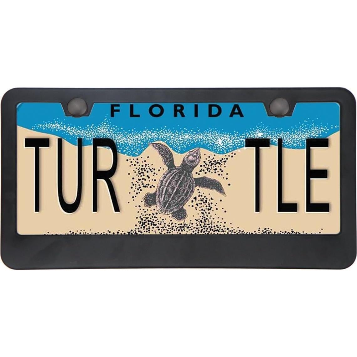 Marco de Placa de Licencia Big Ant Acero Inoxidable Negro - 2 Piezas