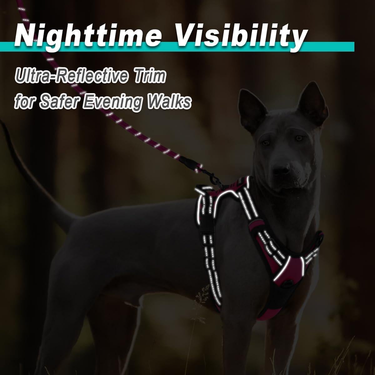 Arnés para Perros BARKBAY Mediano Rosa - Sin Tirones, Ajustable, Reflectante