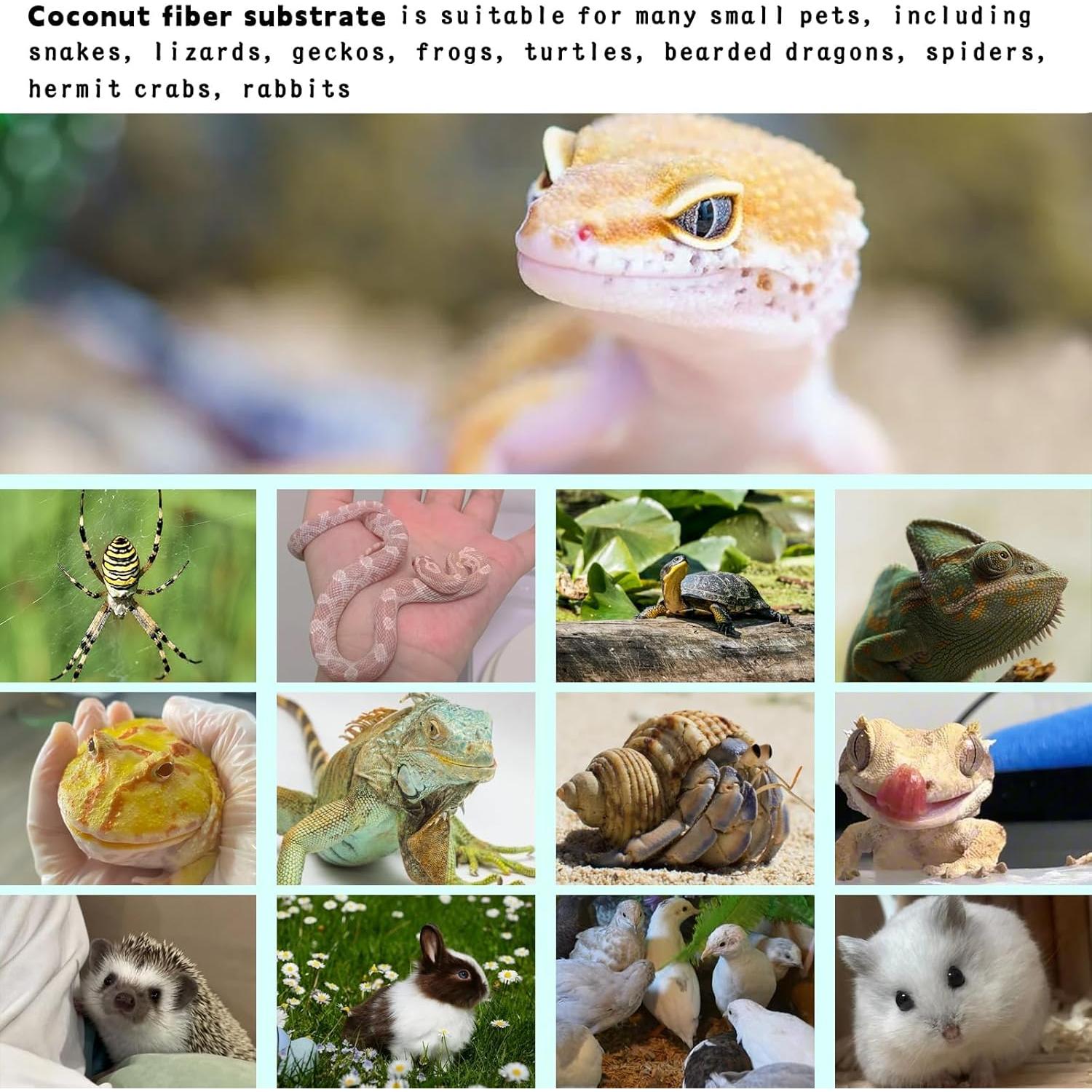 Alfombra para Reptiles Hamiledyi 90x40 cm Fibra de Coco Natural