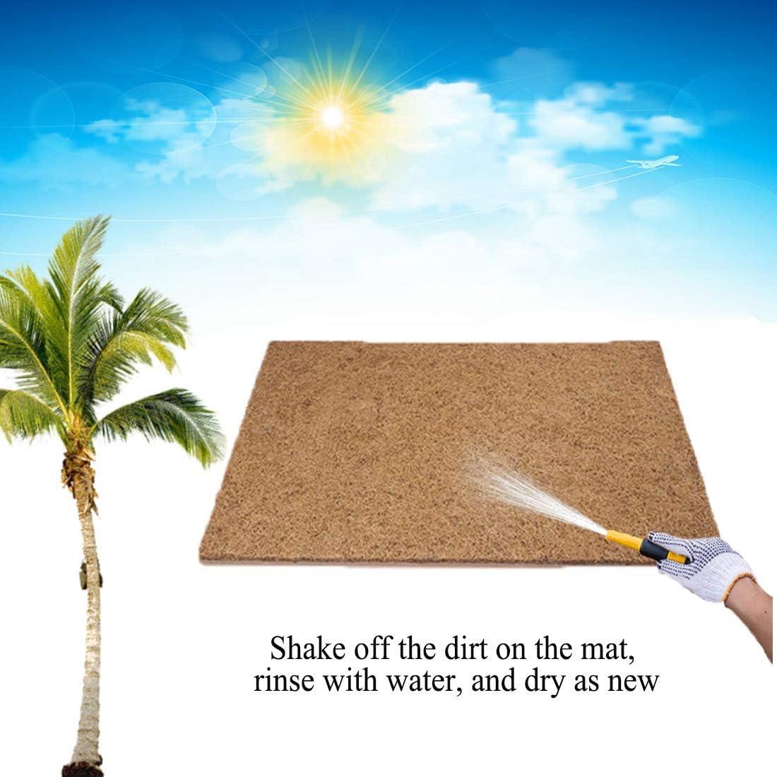 Alfombra para Reptiles Hamiledyi 90x40 cm Fibra de Coco Natural