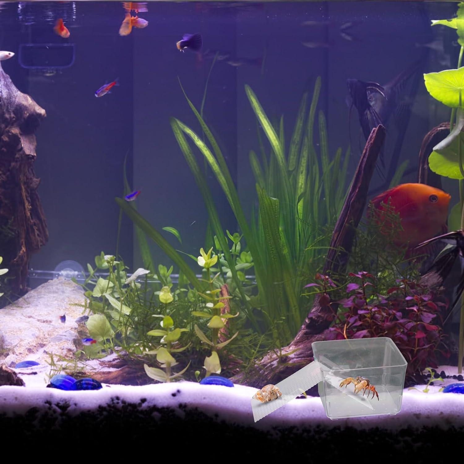 Tanques de Agua Transparentes para Cangrejos Ermitaños KeaJuidy - 2 Unidades