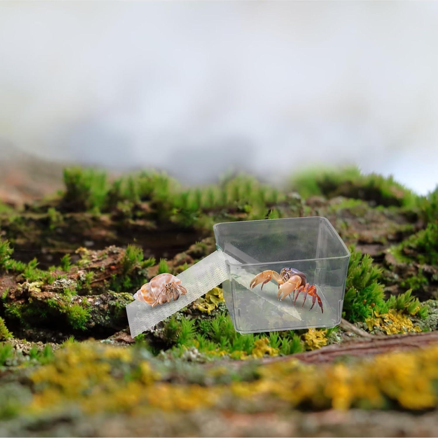 Tanques de Agua Transparentes para Cangrejos Ermitaños KeaJuidy - 2 Unidades