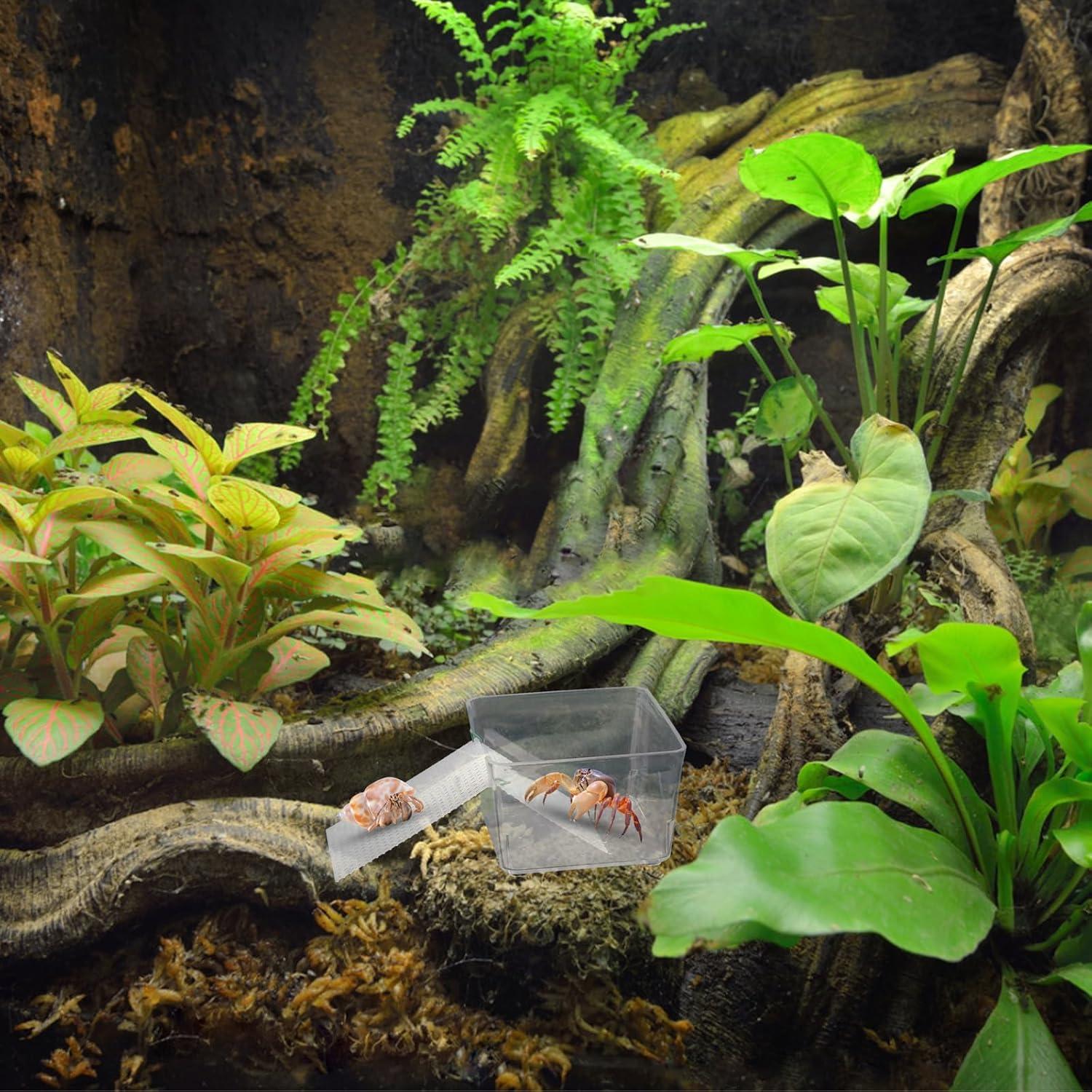 Tanques de Agua Transparentes para Cangrejos Ermitaños KeaJuidy - 2 Unidades
