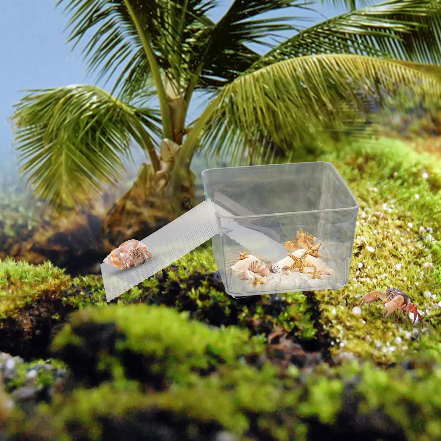 Tanques de Agua Transparentes para Cangrejos Ermitaños KeaJuidy - 2 Unidades