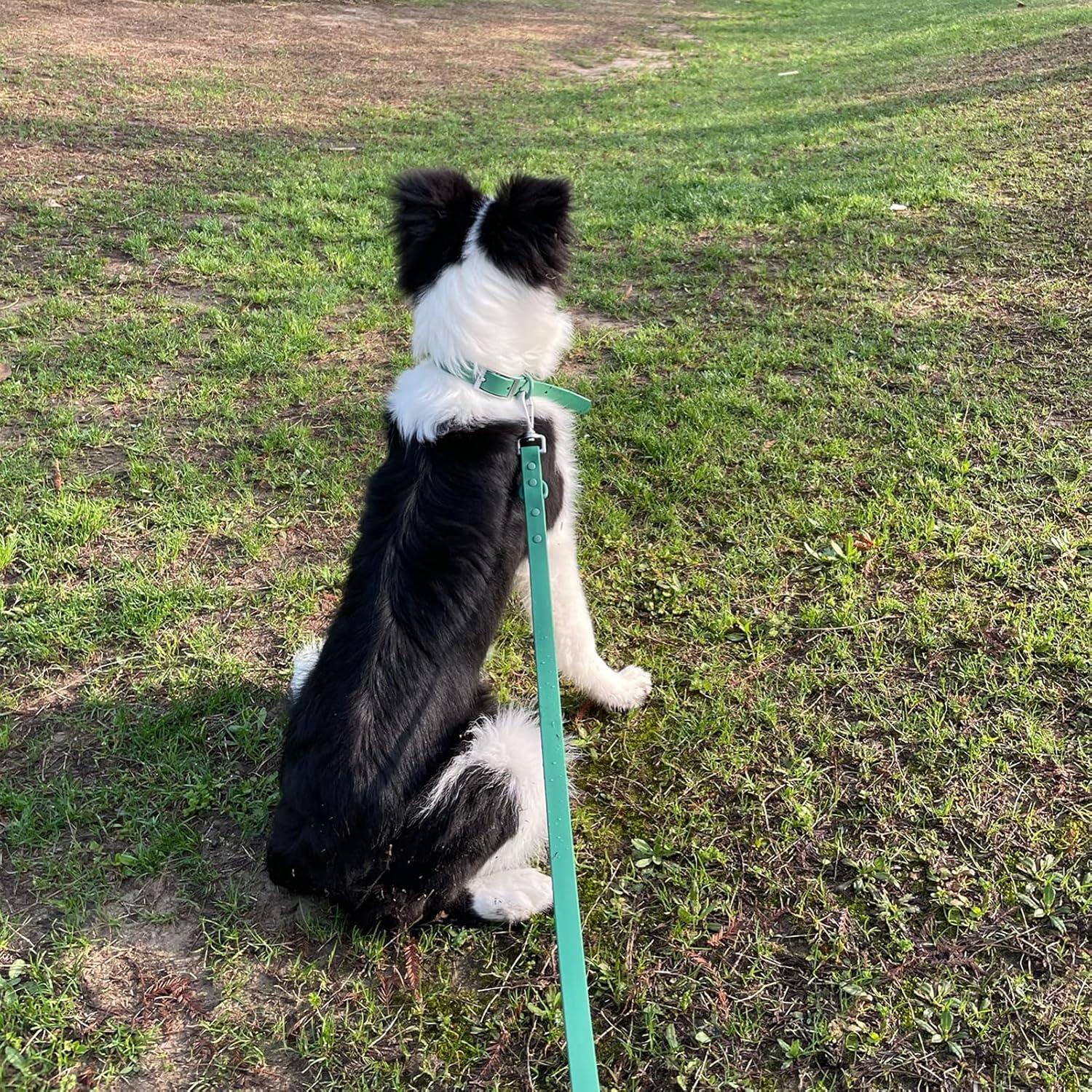 Conjunto Collar y Correa para Perros ZALER, Ajustable e Impermeable