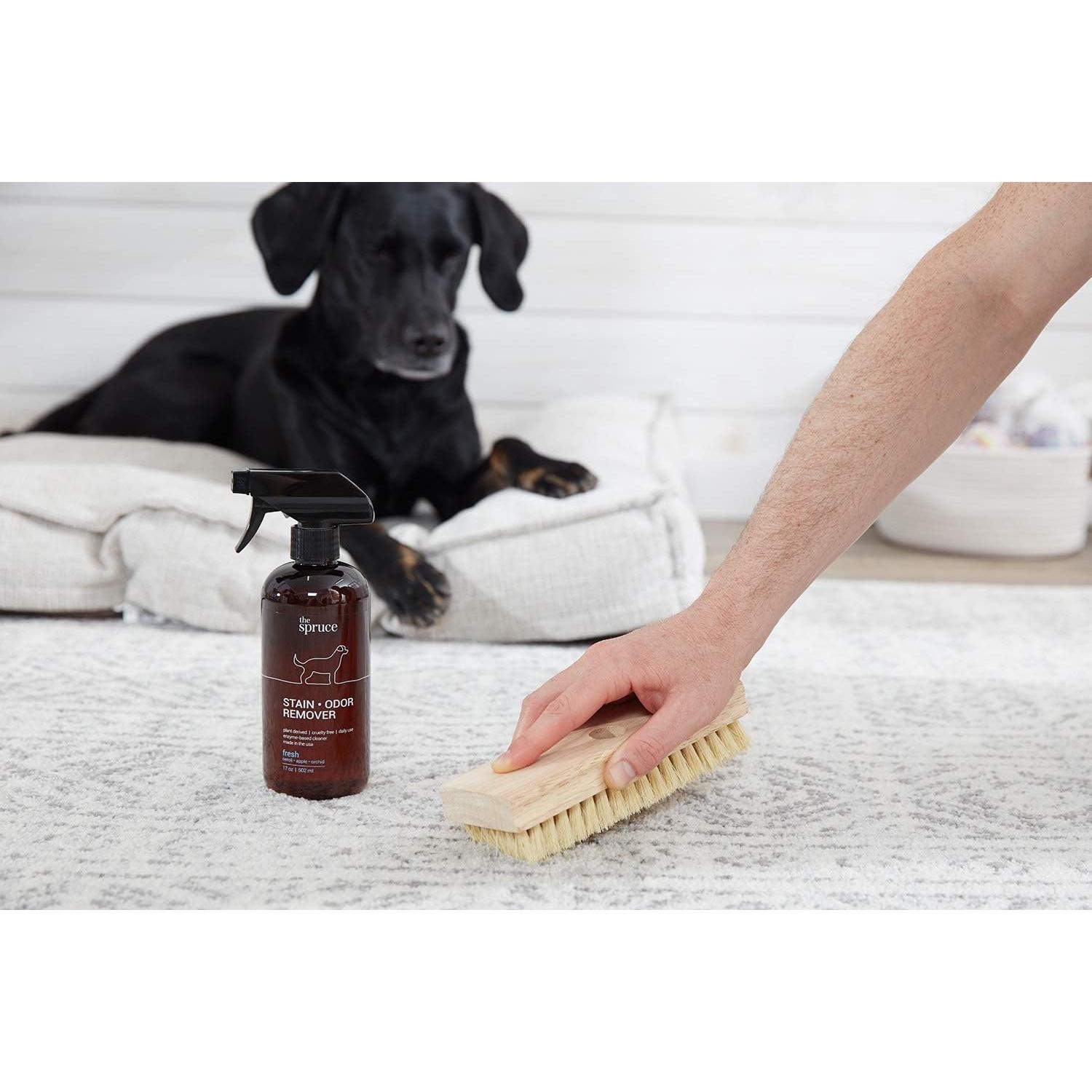 Eliminador de Manchas y Olores The Spruce 482.8 ml Enzimas Naturales