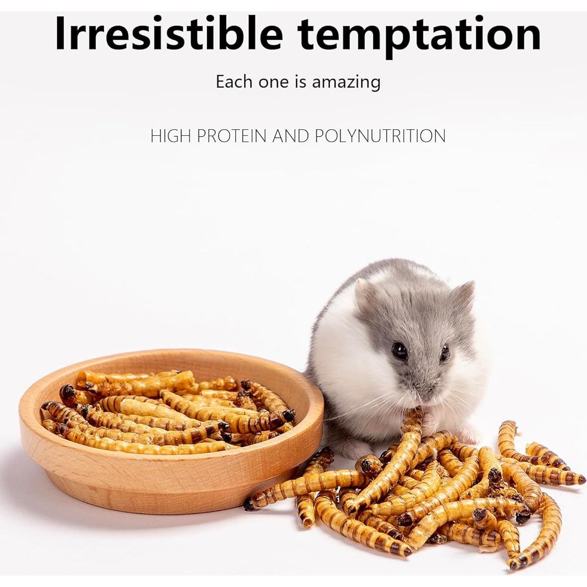 Snack Natural para Hámsters Niteangel - Gusanos Secos 25g