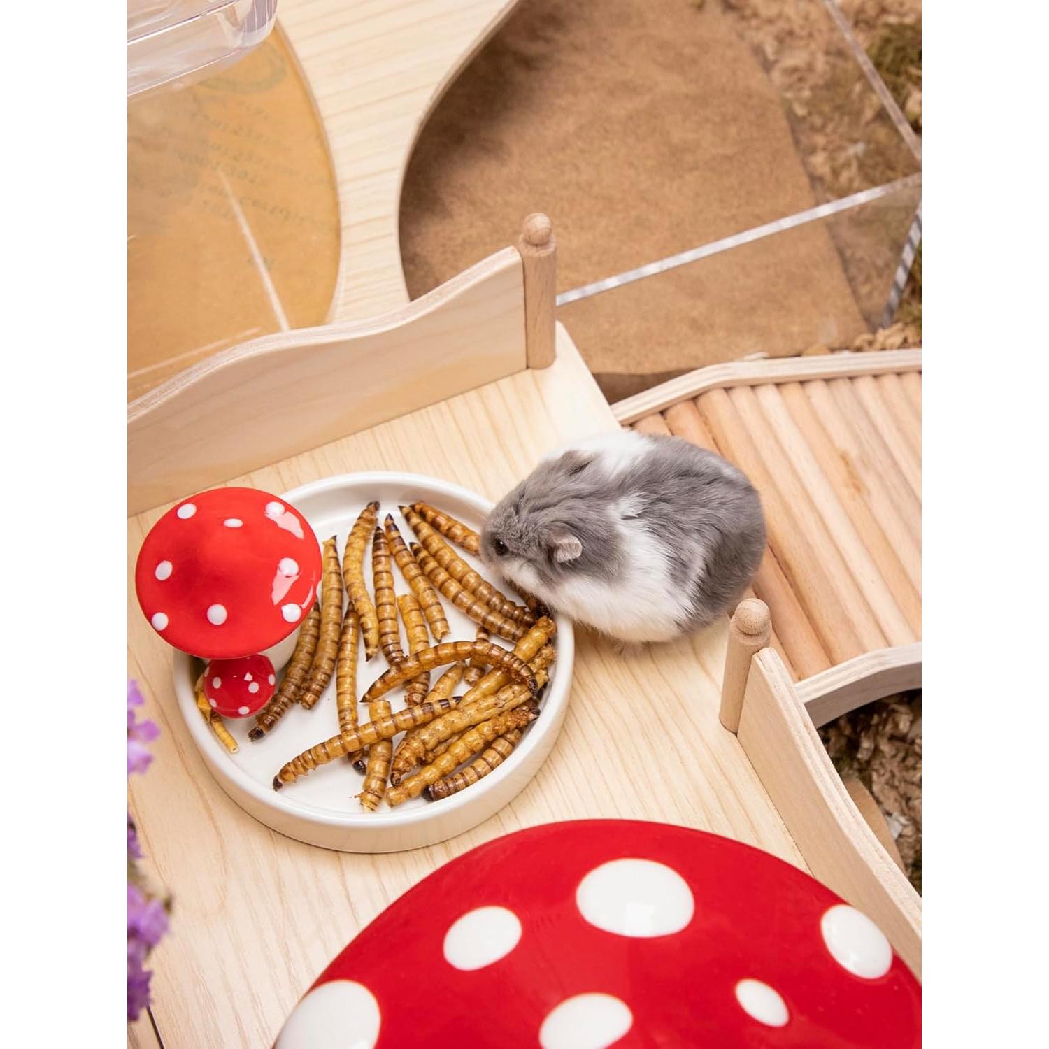 Snack Natural para Hámsters Niteangel - Gusanos Secos 25g