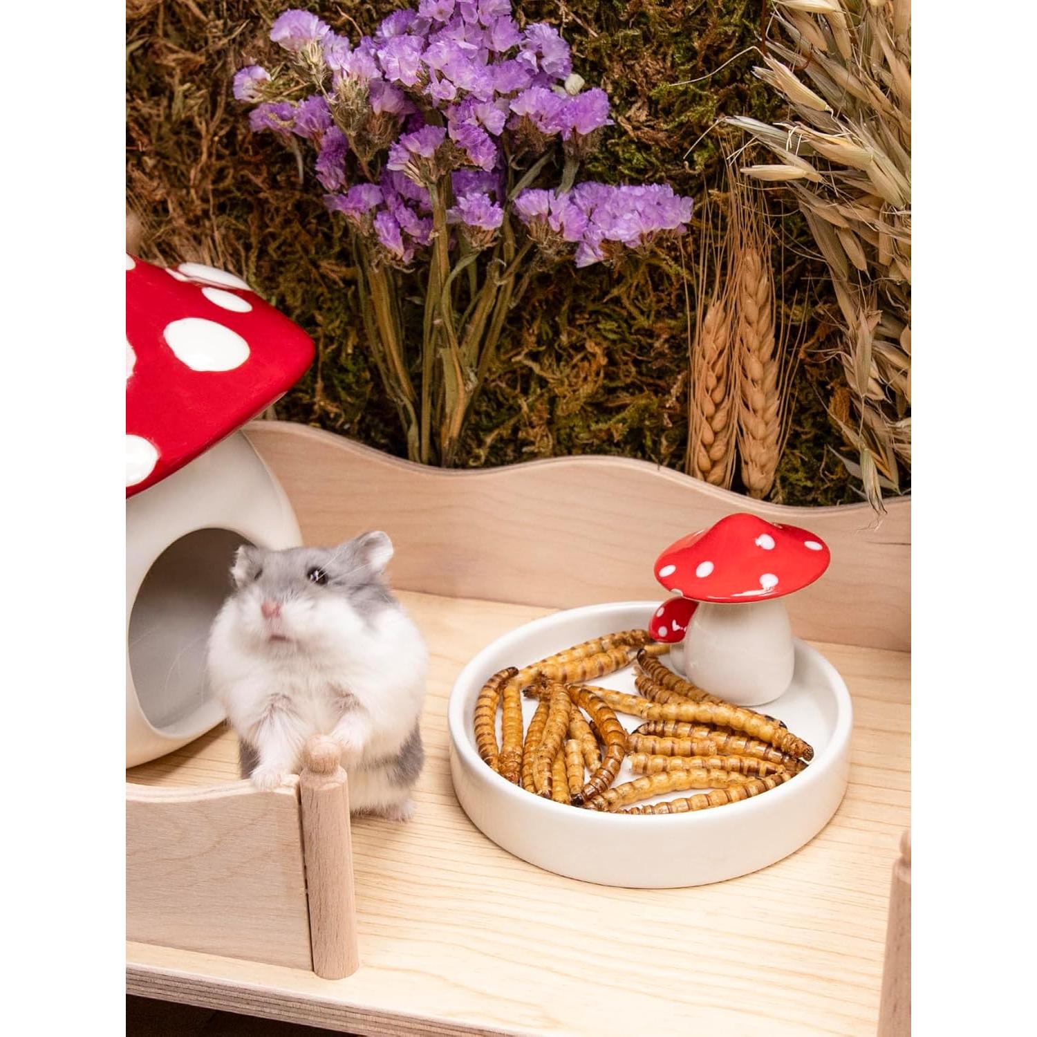 Snack Natural para Hámsters Niteangel - Gusanos Secos 25g