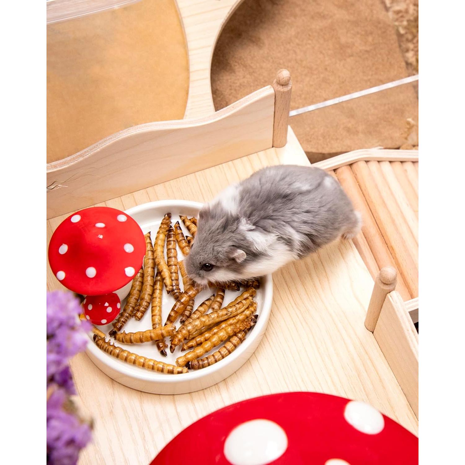 Snack Natural para Hámsters Niteangel - Gusanos Secos 25g