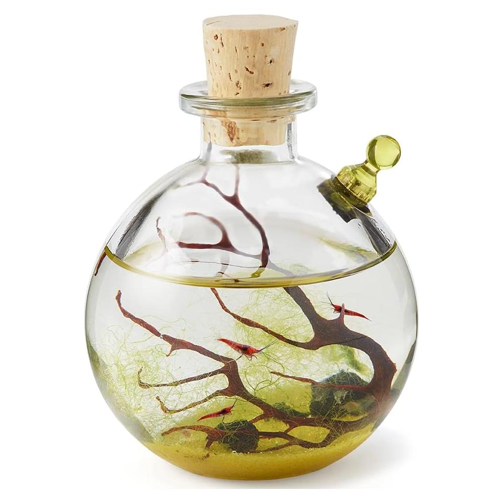 Ecosistema Acuático Autosostenible Rainforest 8.89cm