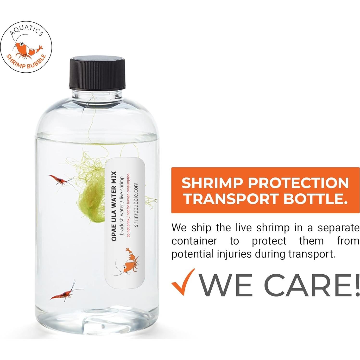 Ecosistema Acuático Autosostenible Rainforest 8.89cm