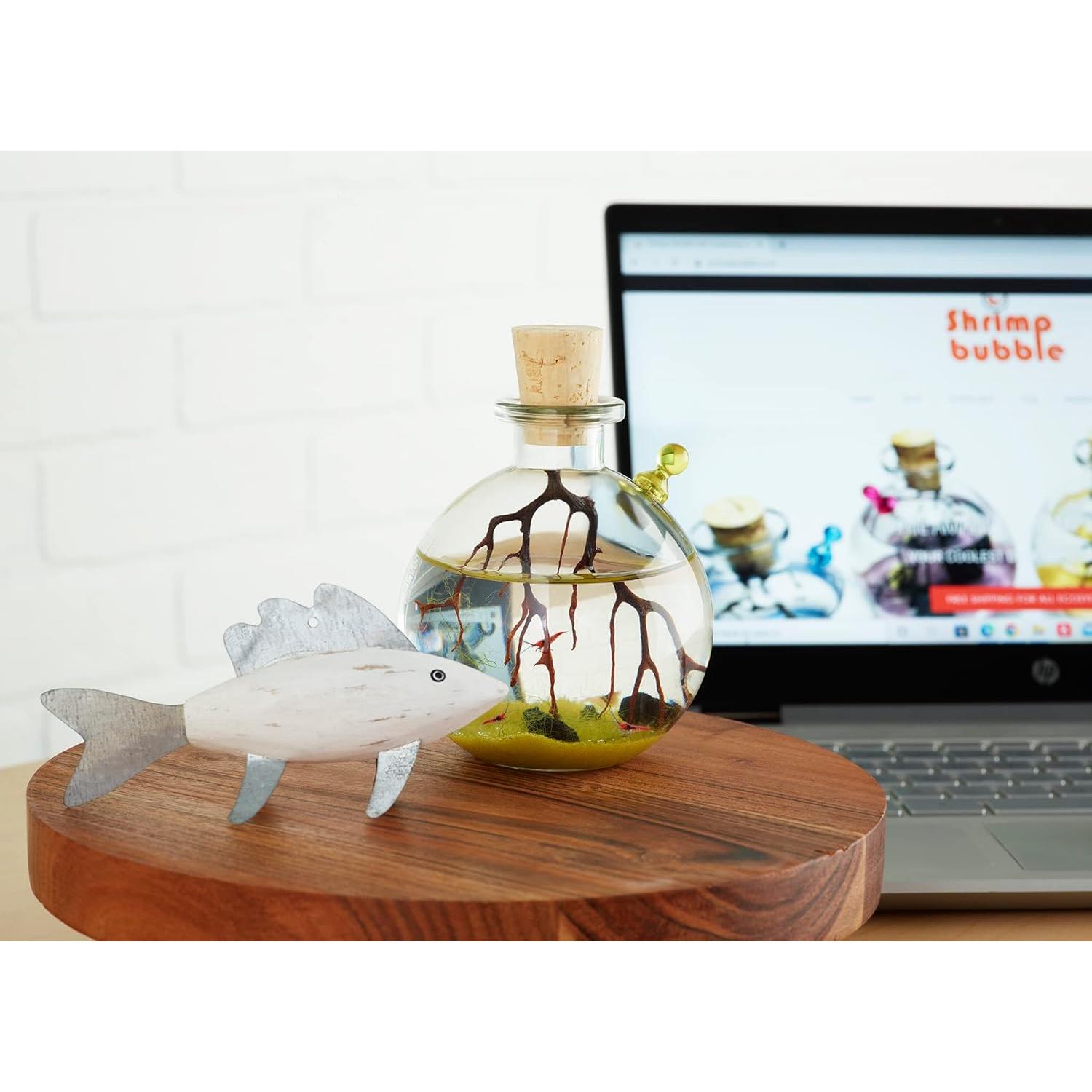 Ecosistema Acuático Autosostenible Rainforest 8.89cm