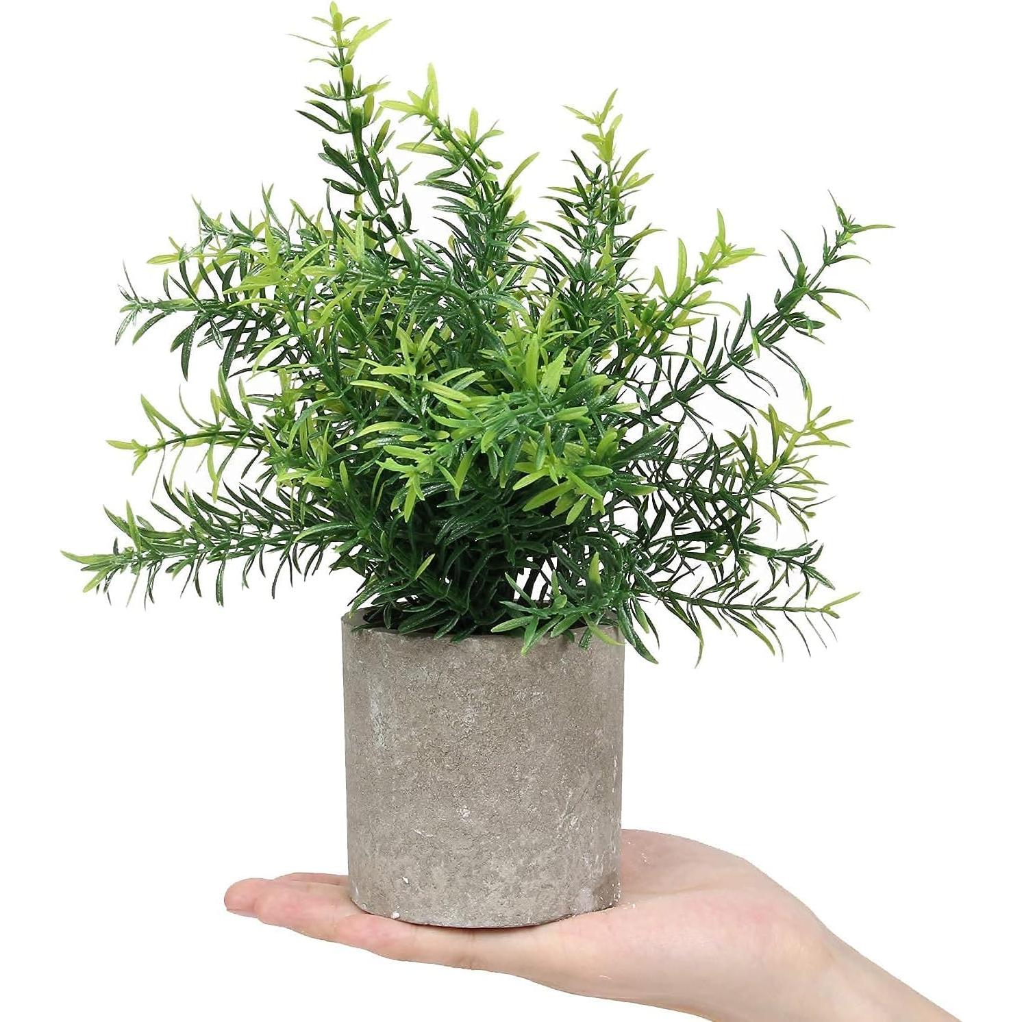 Flojery 2 Plantas Artificiales Eucalipto en Macetas Decorativas