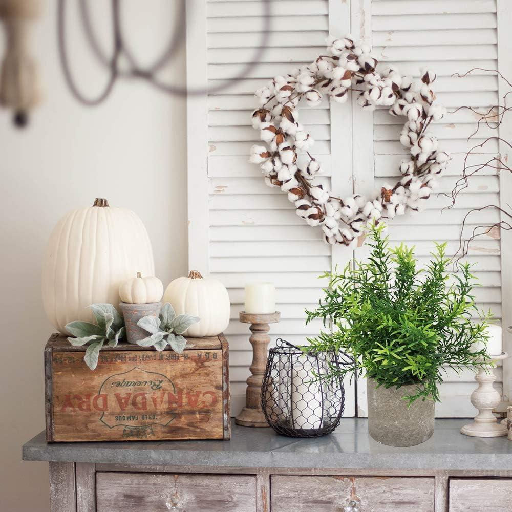 Flojery 2 Plantas Artificiales Eucalipto en Macetas Decorativas