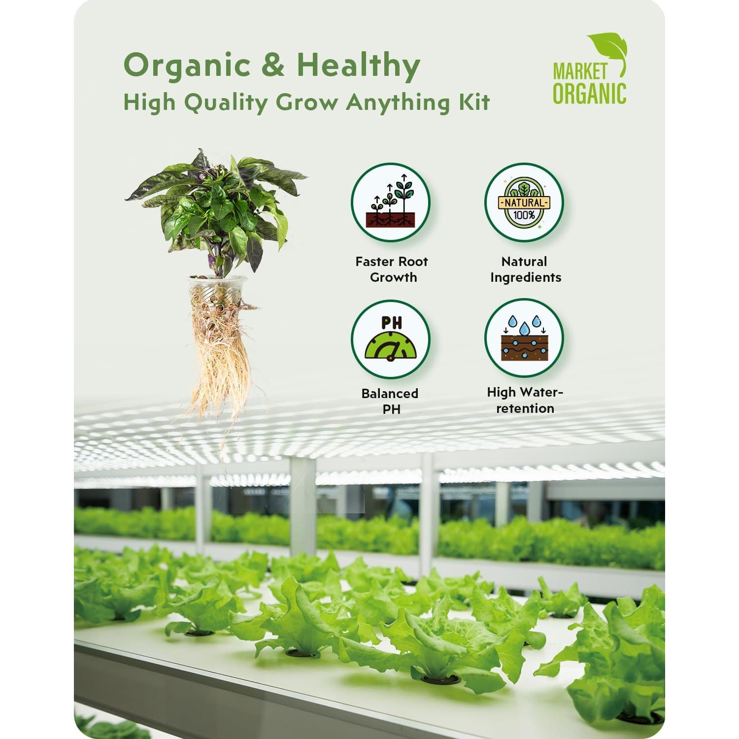 Kit de Jardinería Hidropónica URUQ 140 Piezas - Esponjas, Cestas, Domos