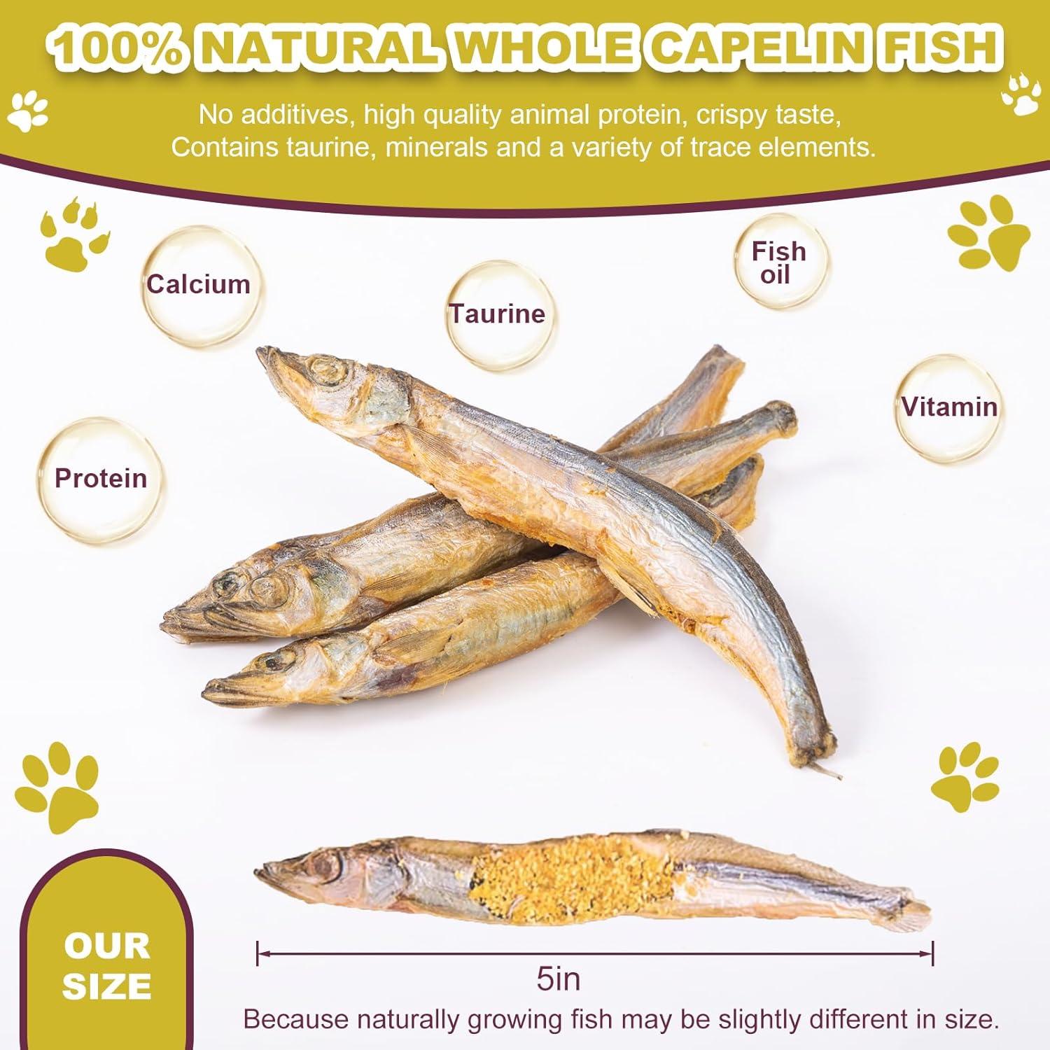 Pescado Capelín Liofilizado Cabaña de Dylan 85g - Snacks Saludables