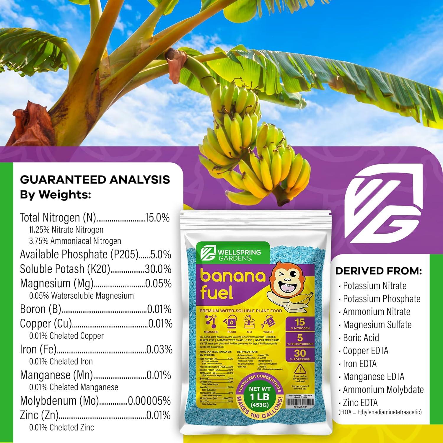 Fertilizante Soluble en Agua Wellspring Gardens 15-5-30 0.45kg