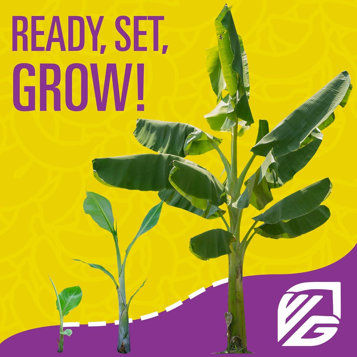 Fertilizante Soluble en Agua Wellspring Gardens 15-5-30 0.45kg