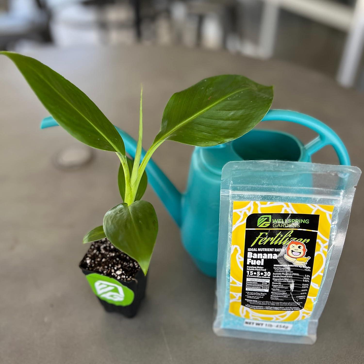 Fertilizante Soluble en Agua Wellspring Gardens 15-5-30 0.45kg