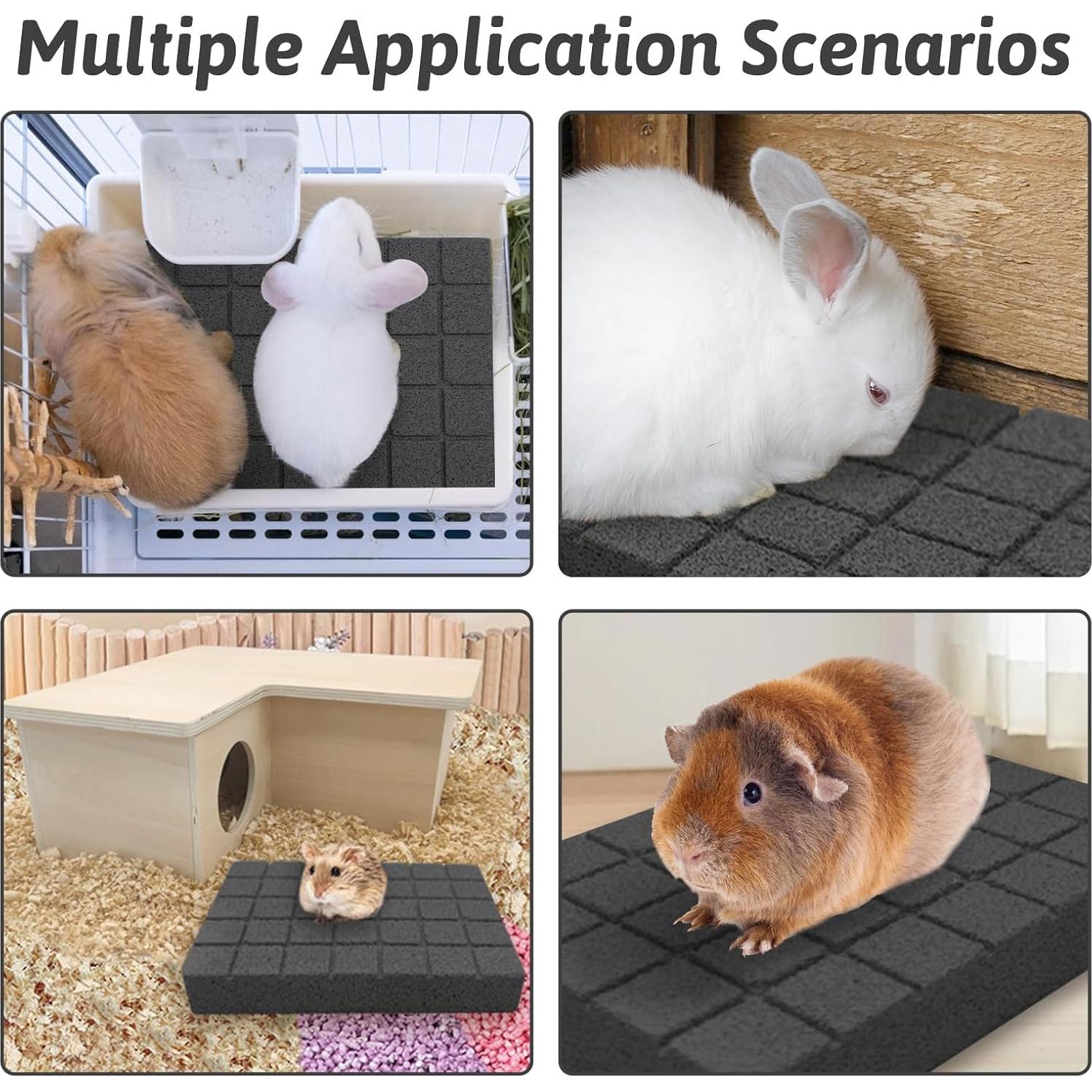 Almohadillas para Rascar Conejos Hamiledyi 4 PCS Roca de Lava