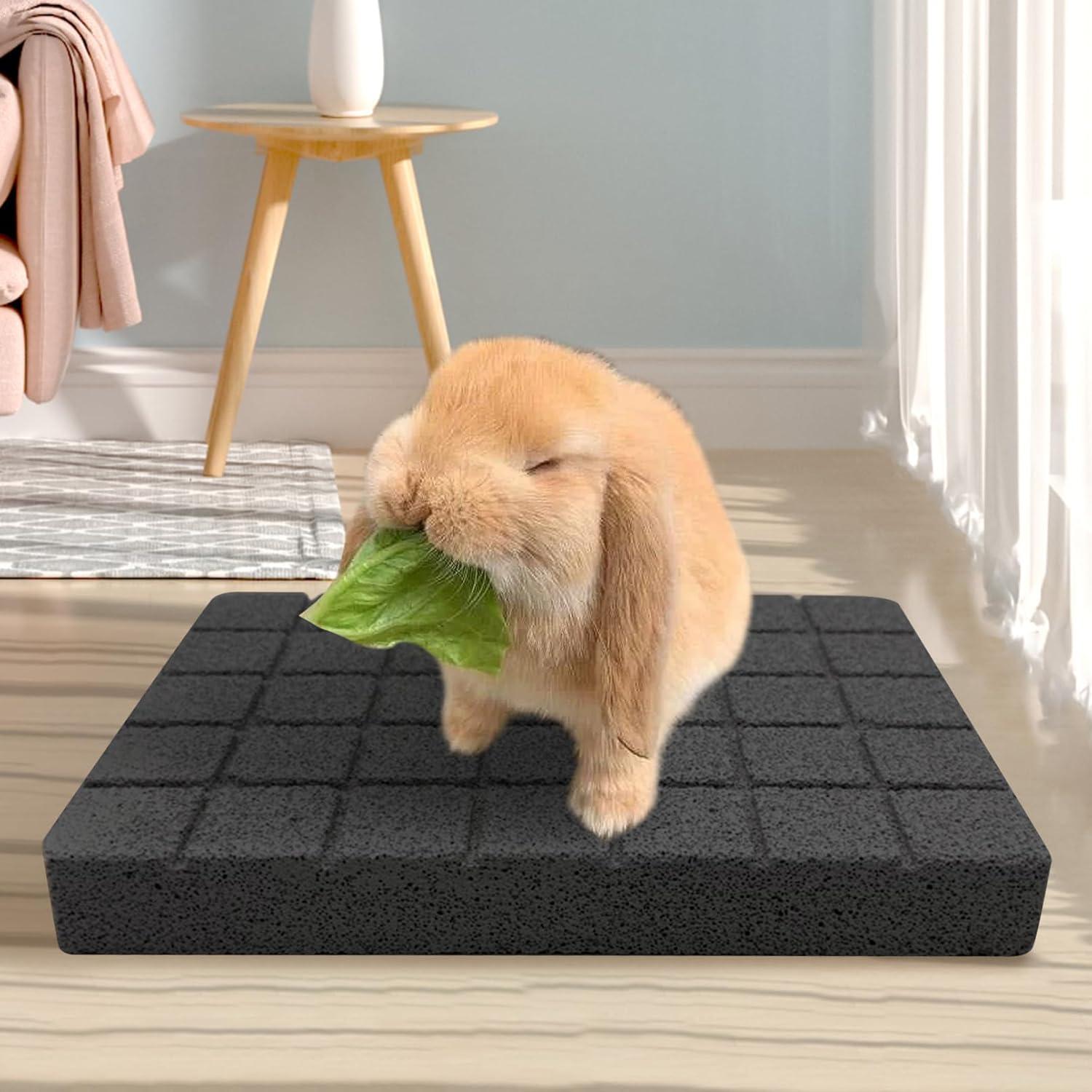 Almohadillas para Rascar Conejos Hamiledyi 4 PCS Roca de Lava