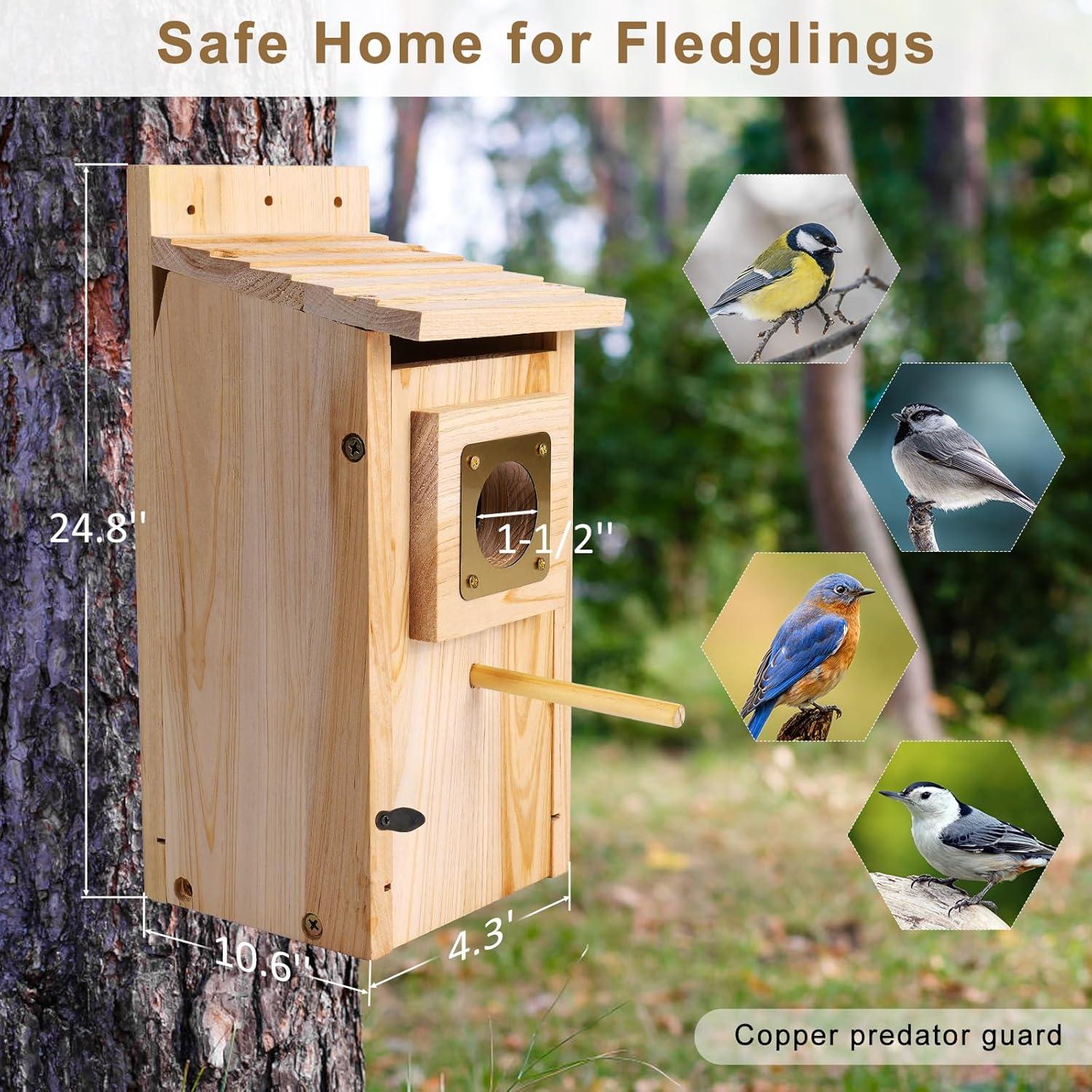 Casa para Aves ColorfulLaVie de Madera 63x27x11 cm con Protector