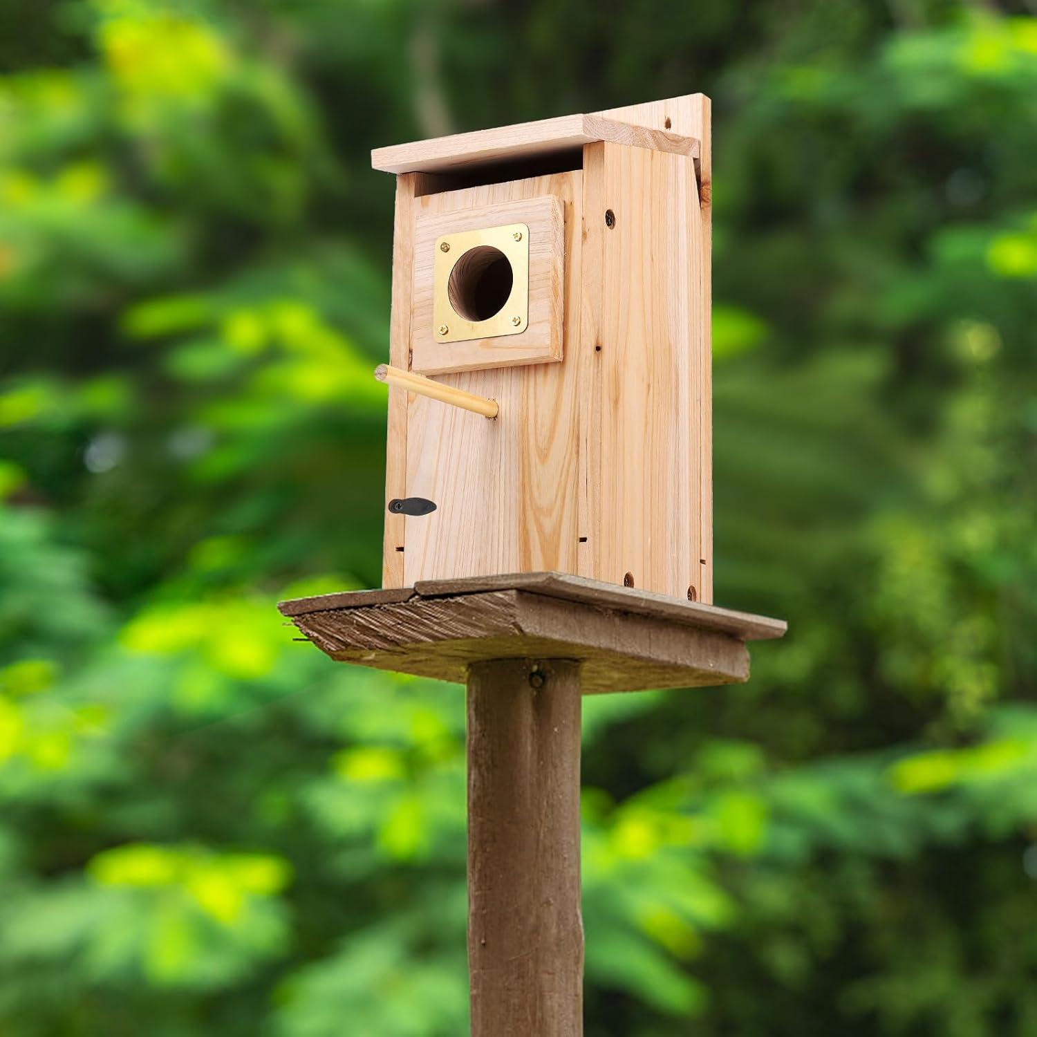 Casa para Aves ColorfulLaVie de Madera 63x27x11 cm con Protector