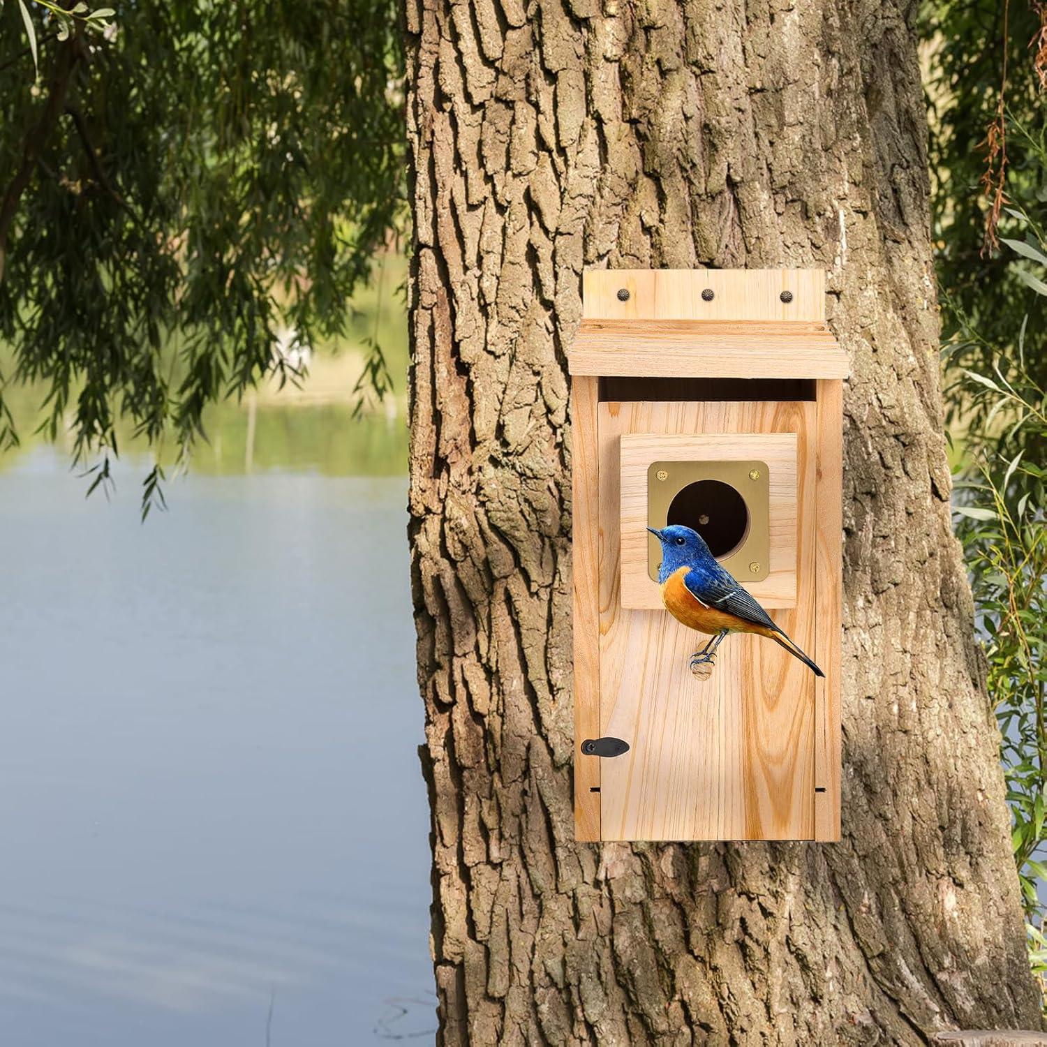 Casa para Aves ColorfulLaVie de Madera 63x27x11 cm con Protector