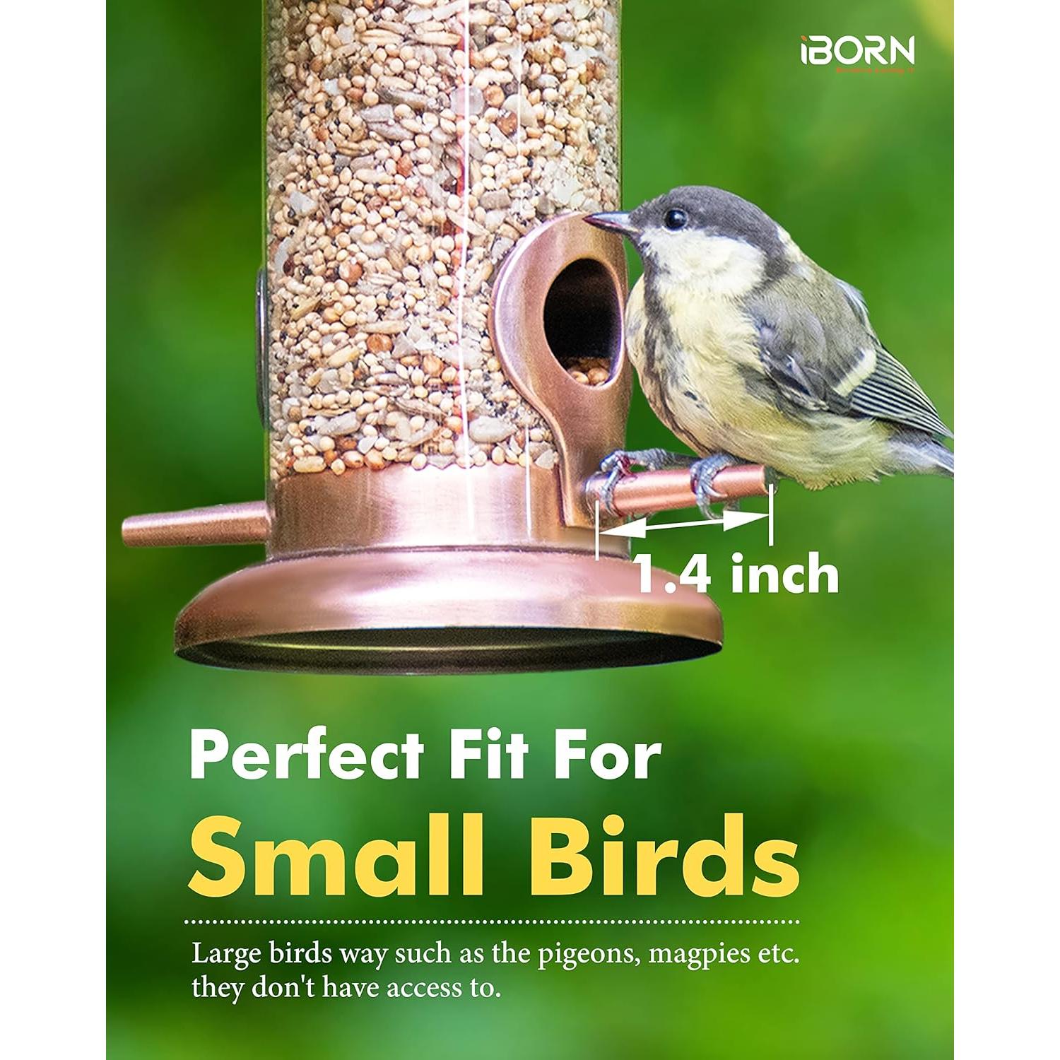 Comedero para Aves Colgante iBorn Cobre 400g 2 Puertos