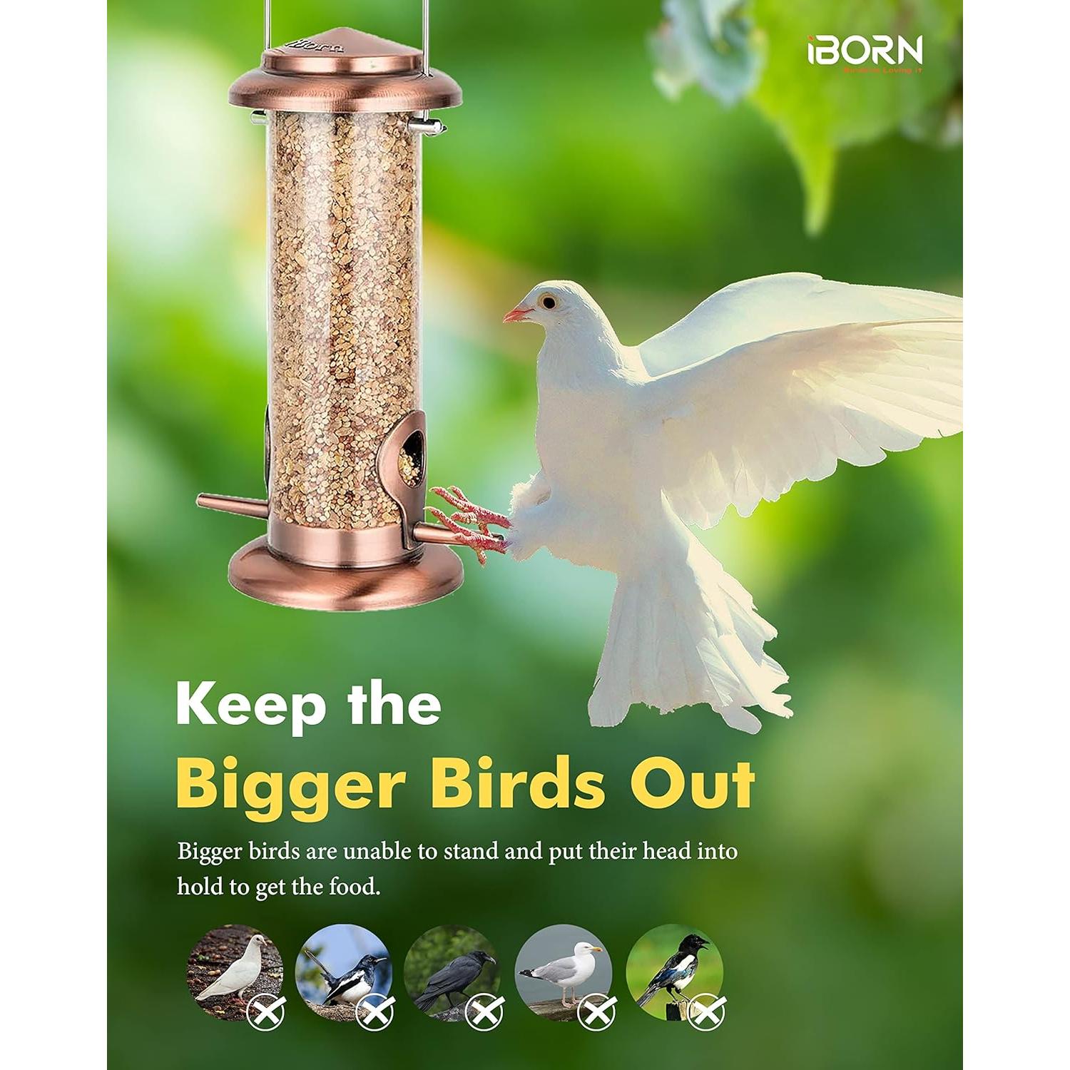 Comedero para Aves Colgante iBorn Cobre 400g 2 Puertos