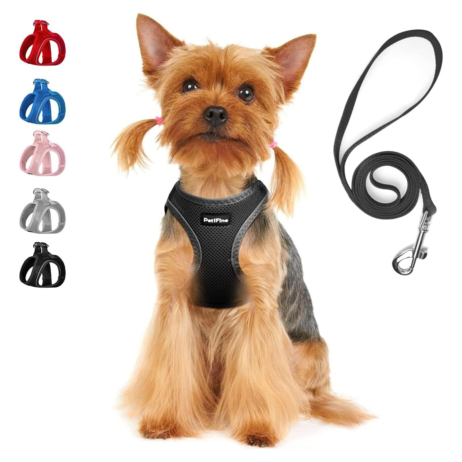 Arnés para Perros Pequeños PetiFine XXXS Negro - Malla Transpirable