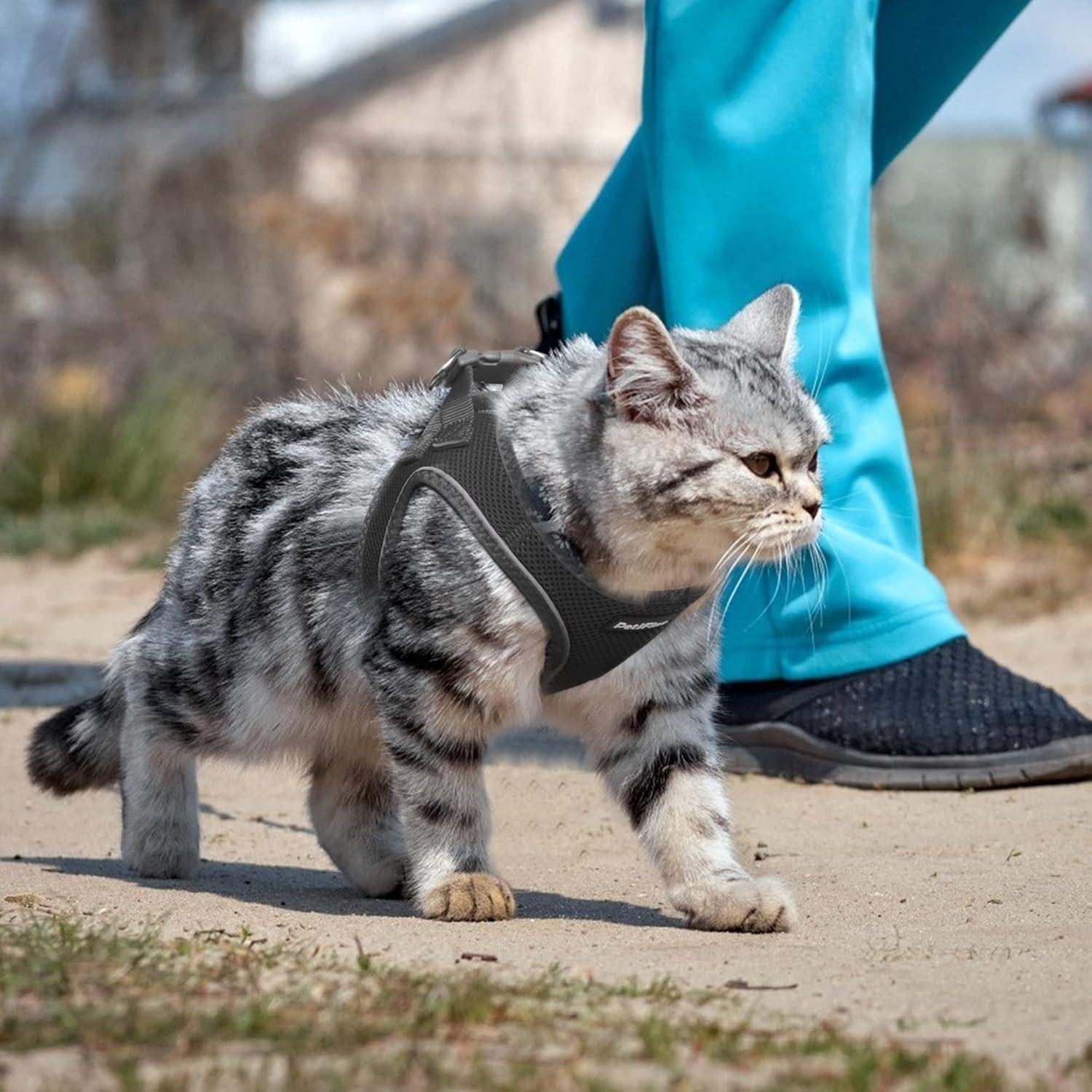 Arnés para Perros Pequeños PetiFine XXXS Negro - Malla Transpirable