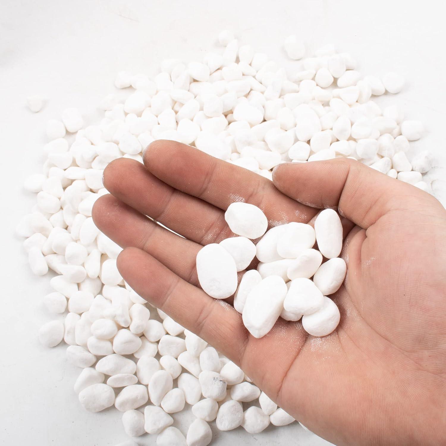 Guijarros Negros Pulidos CJGQ 0.82kg para Acuario y Plantas