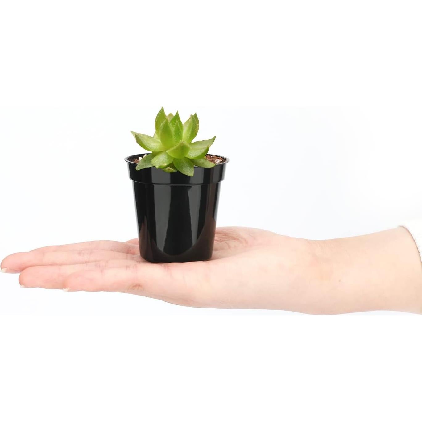 Macetas de Plástico KINGLAKE 5.1 cm 100 Pcs para Suculentas