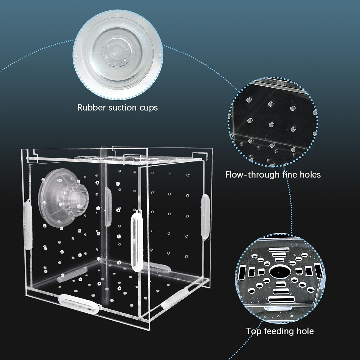 Caja de Aislamiento de Cría de Acrílico Hamiledyi 9.9x9.9 cm