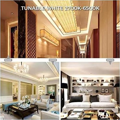 Cinta LED COB CCT 3m AUZIWE Regulable 2700K-6500K Bluetooth