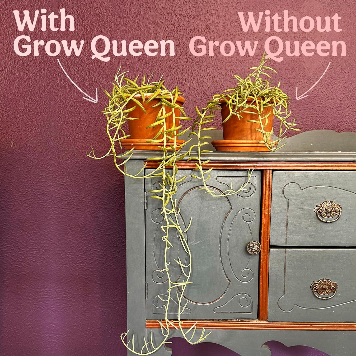 Fertilizante Orgánico Grow Queen para Suculentas 0.45 kg