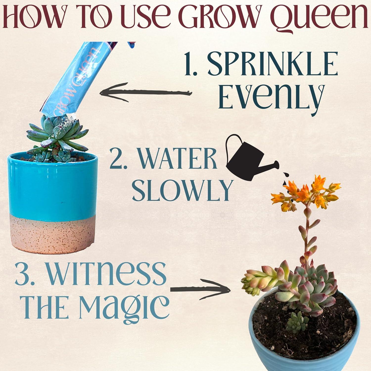 Fertilizante Orgánico Grow Queen para Suculentas 0.45 kg