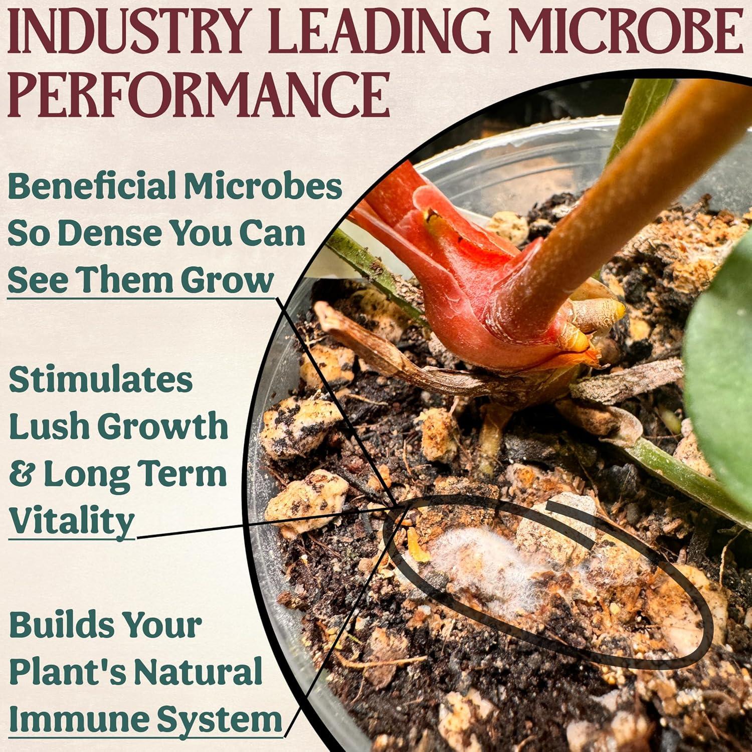 Fertilizante Orgánico Grow Queen para Suculentas 0.45 kg