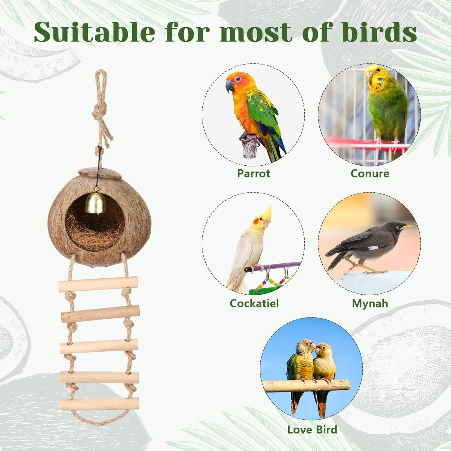 Nido de Coco Natural para Aves Briwooody con Escalera y Campana