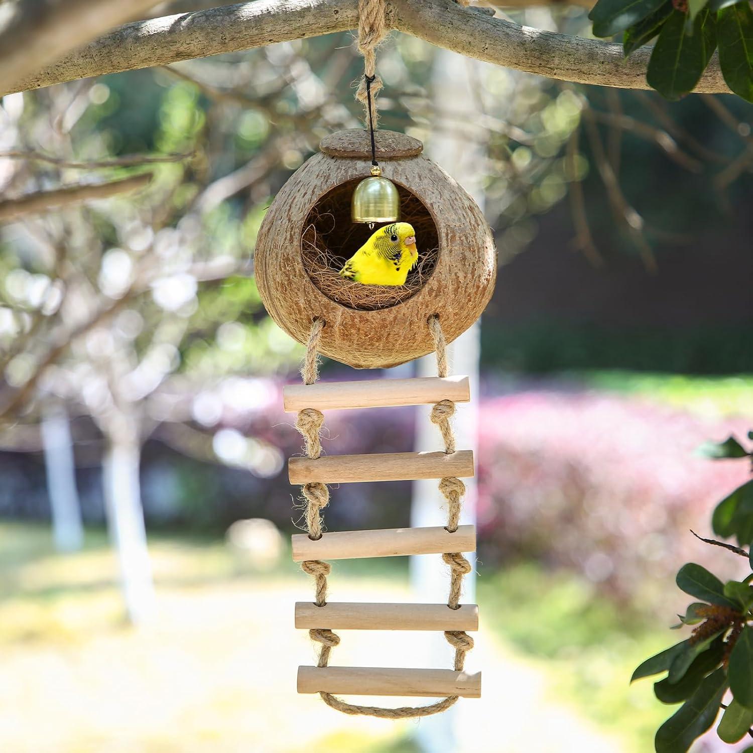 Nido de Coco Natural para Aves Briwooody con Escalera y Campana