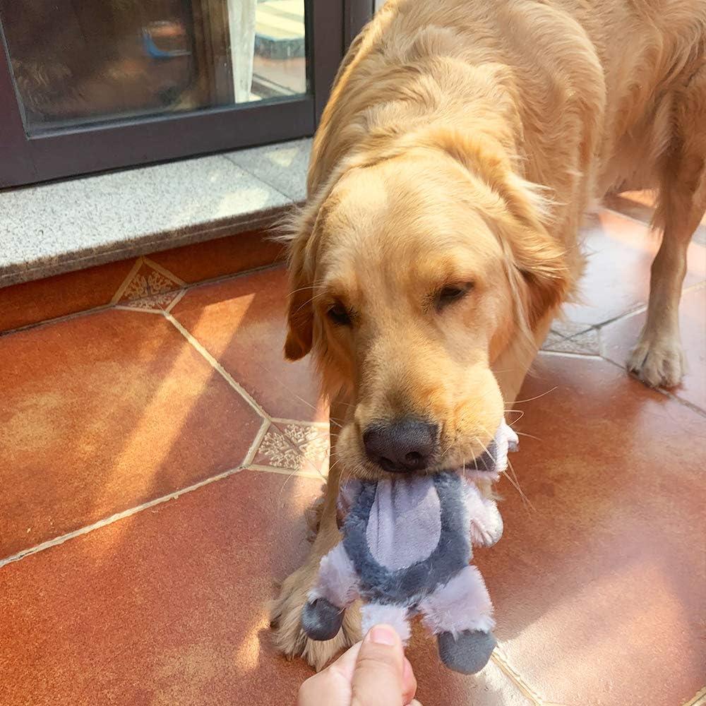 Juguetes para Perros Squeaky Jalousie XL - 3 Piezas Duraderos