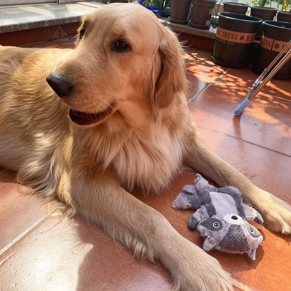 Juguetes para Perros Squeaky Jalousie XL - 3 Piezas Duraderos