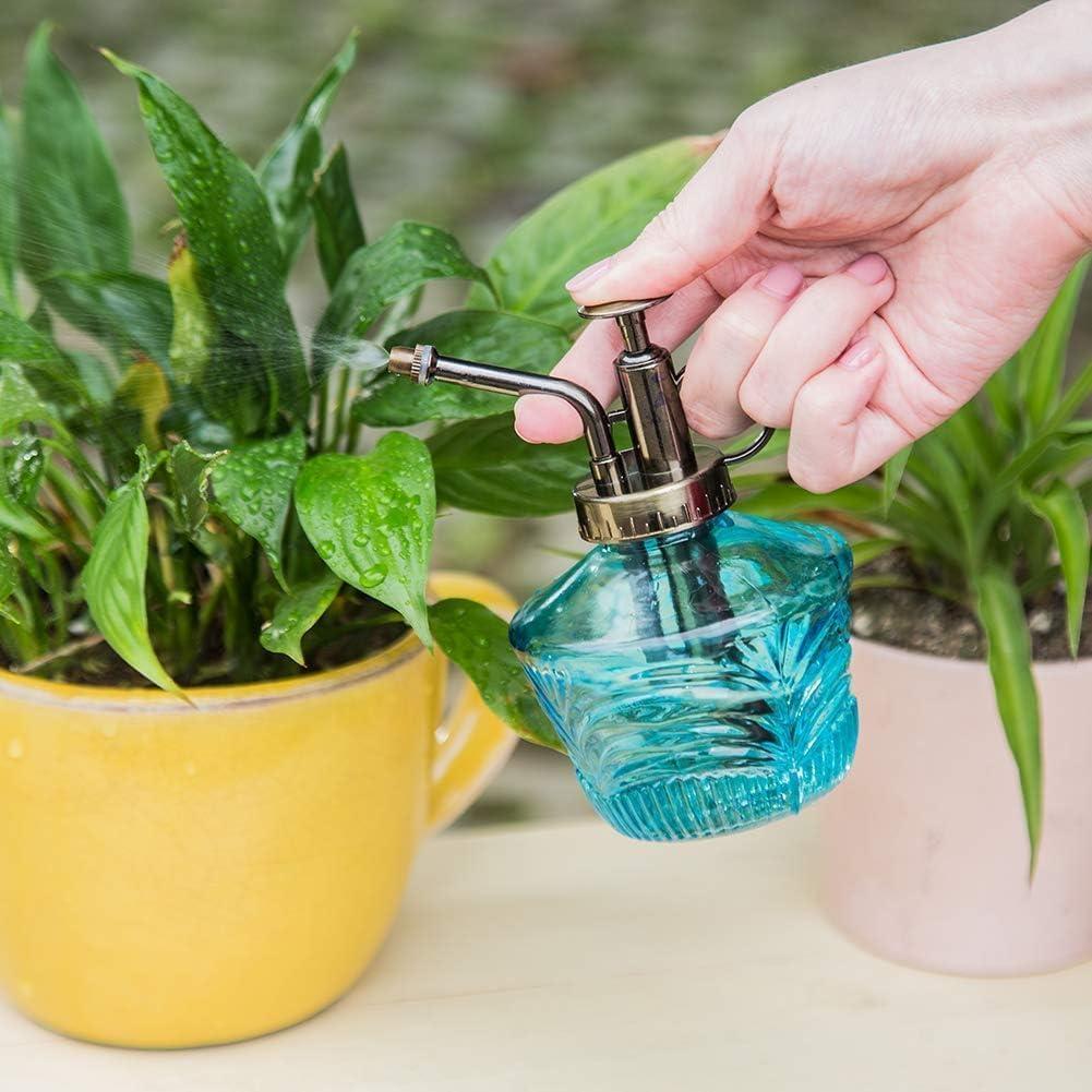 Juego de Mini Regadera de Vidrio Topadorn - Riego de Plantas