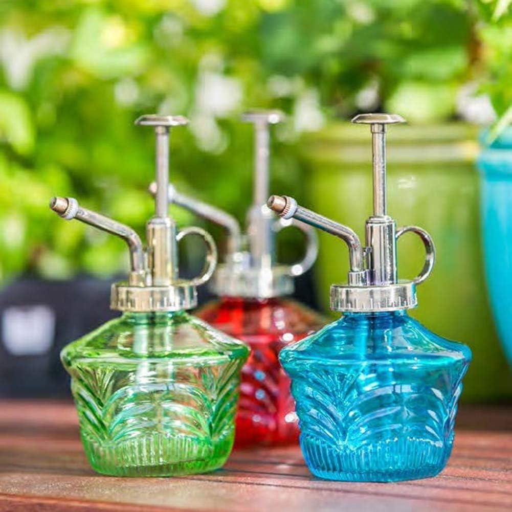 Juego de Mini Regadera de Vidrio Topadorn - Riego de Plantas