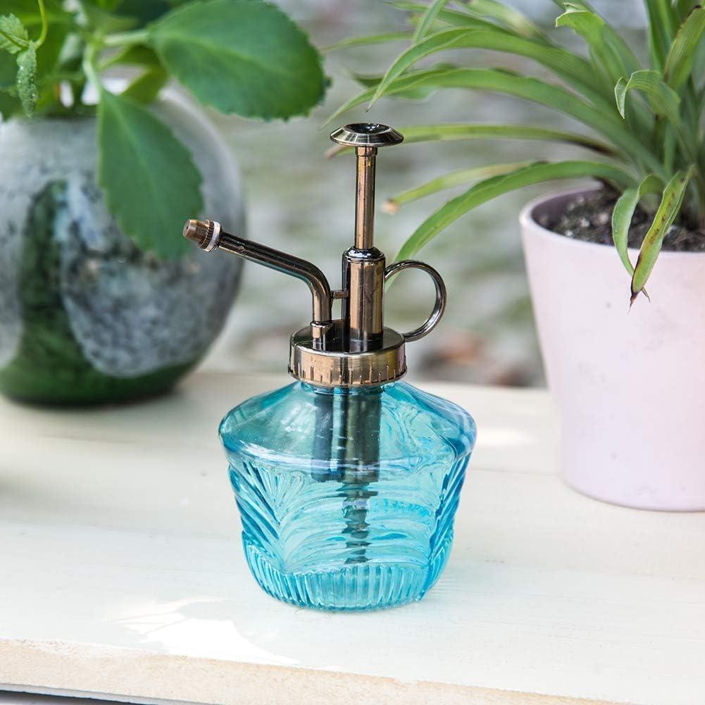 Juego de Mini Regadera de Vidrio Topadorn - Riego de Plantas