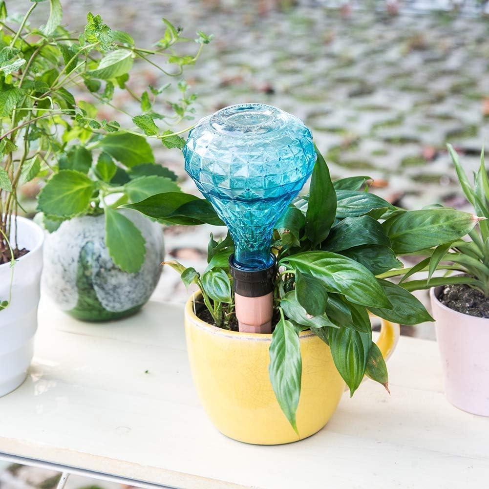 Juego de Mini Regadera de Vidrio Topadorn - Riego de Plantas