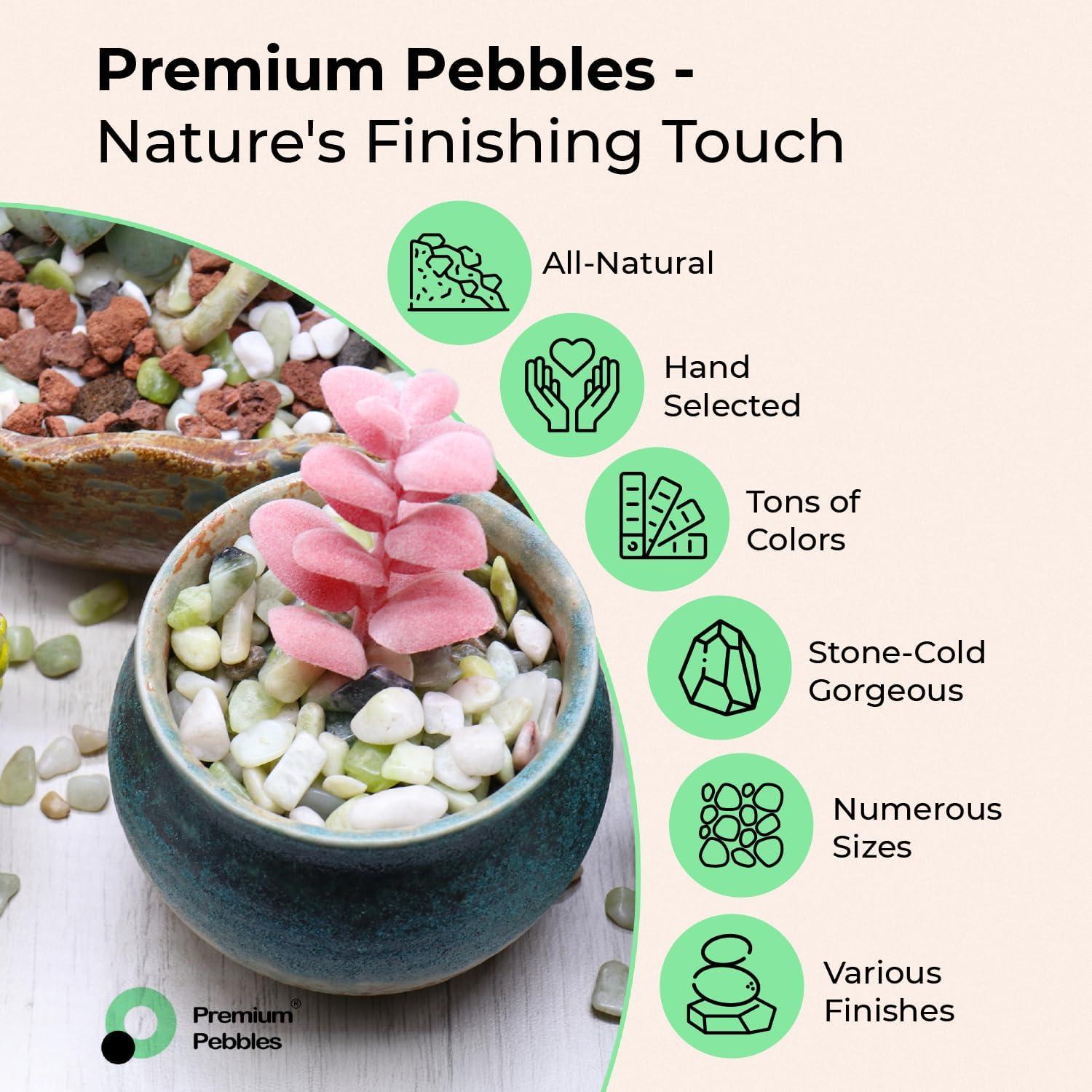 Arena Gruesa Dorada Premium Pebbles 0.32 cm 0.91 kg para Jardinería