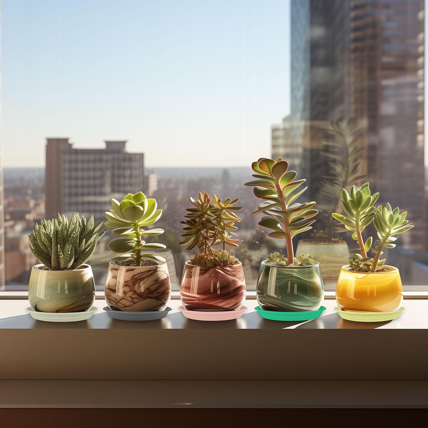 12 Platos de Goteo para Macetas ECOESPTI 15-25 cm Blanco Crema